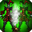 Shaco R — Hallucination